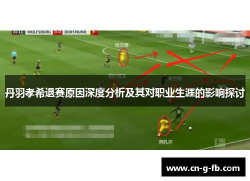 丹羽孝希退赛原因深度分析及其对职业生涯的影响探讨