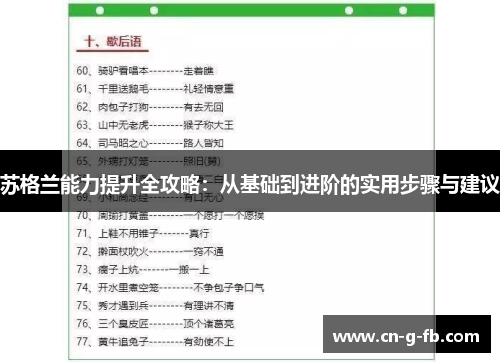 苏格兰能力提升全攻略：从基础到进阶的实用步骤与建议