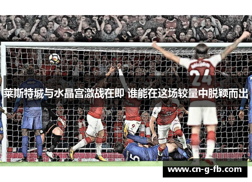 莱斯特城与水晶宫激战在即 谁能在这场较量中脱颖而出