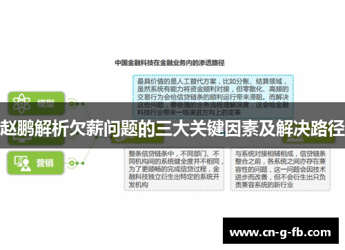 赵鹏解析欠薪问题的三大关键因素及解决路径