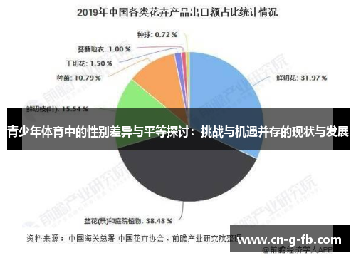 青少年体育中的性别差异与平等探讨：挑战与机遇并存的现状与发展