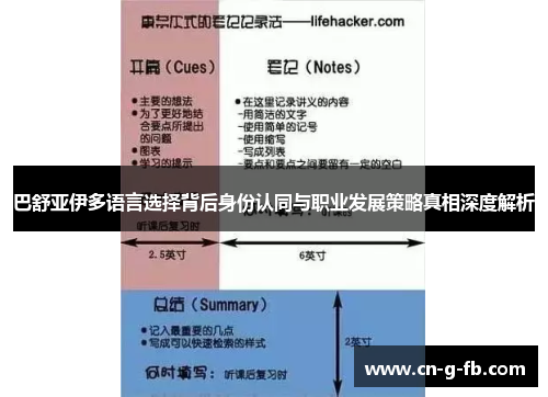 巴舒亚伊多语言选择背后身份认同与职业发展策略真相深度解析