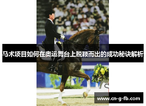 马术项目如何在奥运舞台上脱颖而出的成功秘诀解析